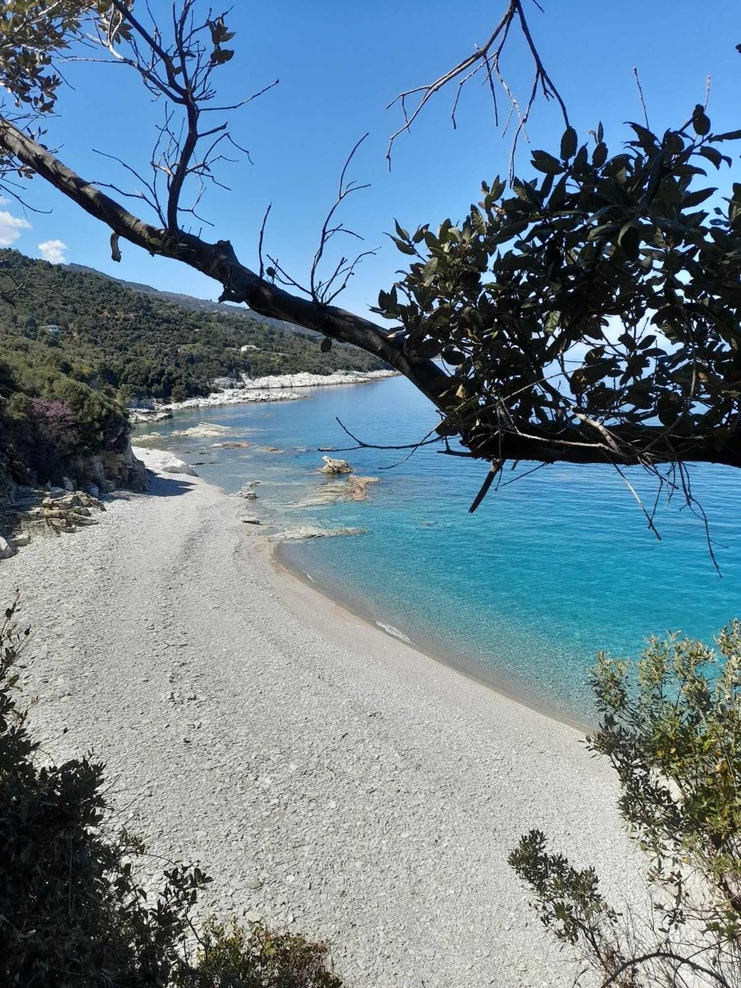 Pelion, Sun House Lägenhet Kalamaki  Exteriör bild